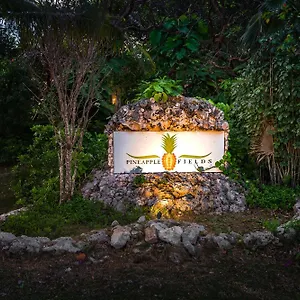 Pineapple Fields Apartahotel